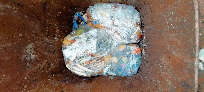 Braune T - M�ll.jpg