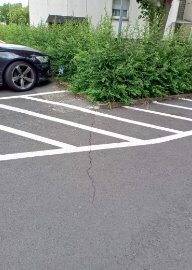WEB COSE PARKING